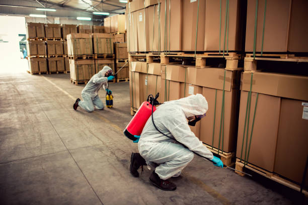 Best Residential Pest Control  in Fair Haven, NY