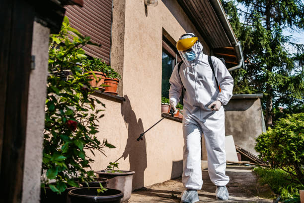Best Mosquito Control Services  in Fair Haven, NY