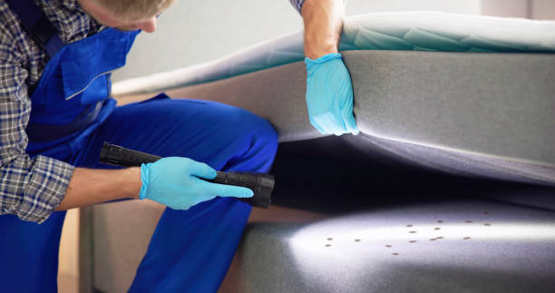 Best Best Pest Control Companies  in Fair Haven, NY