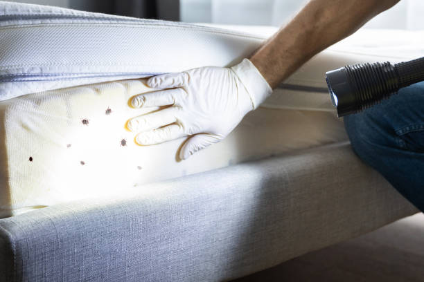 Best Pest Prevention Services  in Fair Haven, NY