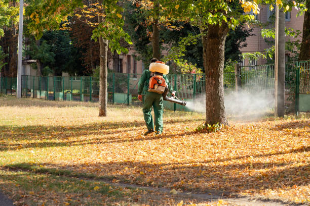 Trusted Fair Haven, NY Pest Control Experts
