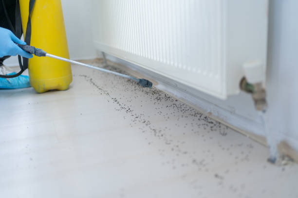Best Bed Bug Extermination  in Fair Haven, NY