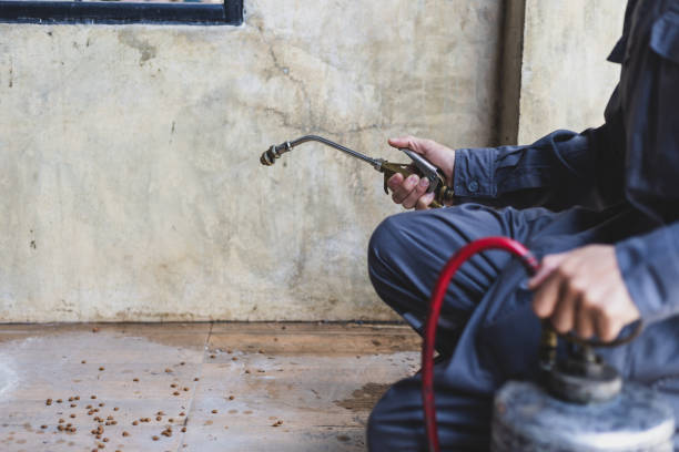Best Best Pest Control Companies  in Fair Haven, NY